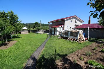 Casa P+1, cu 7 camere + living in Com Teslui !! anunturi imobiliare Olt