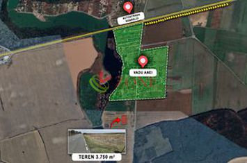 Teren de vanzare BRANESTI - Bucuresti anunturi imobiliare Bucuresti