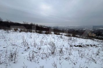 Teren de vanzare VLADICENI - Iasi anunturi imobiliare Iasi