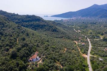 Teren construibil 10889.86 mp în Chrisi Ammoudia anunturi imobiliare Grecia