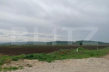 Teren de vanzare SEBES - Alba anunturi imobiliare Alba