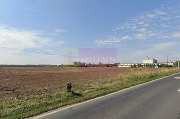 Teren extravilan de vanzare DN1 Paulesti (zona Movila Vulpii) anunturi imobiliare Prahova