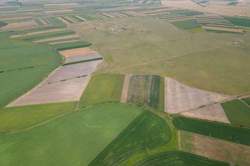 Teren arabil de 477 hectare în Arad anunturi imobiliare Arad