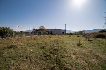 Teren agricol 3000 mp în Nea Vrasna anunturi imobiliare Grecia