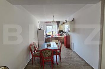 Vilă - 4 camere de vanzare ODOREU - Satu Mare anunturi imobiliare Satu Mare