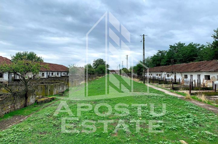 Spațiu industrial de vanzare EXTERIOR NORD - Arad anunturi imobiliare Arad