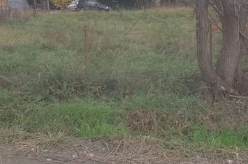 Teren de vanzare CISNADIOARA - Sibiu anunturi imobiliare Sibiu