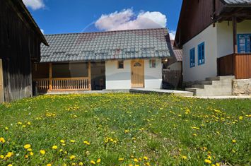 Casă cu specific tradițional anunturi imobiliare Cluj