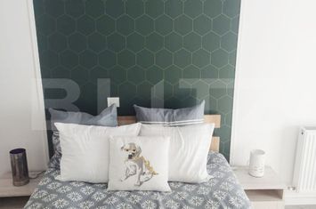 Garsonieră de inchiriat IASI - Iasi anunturi imobiliare Iasi