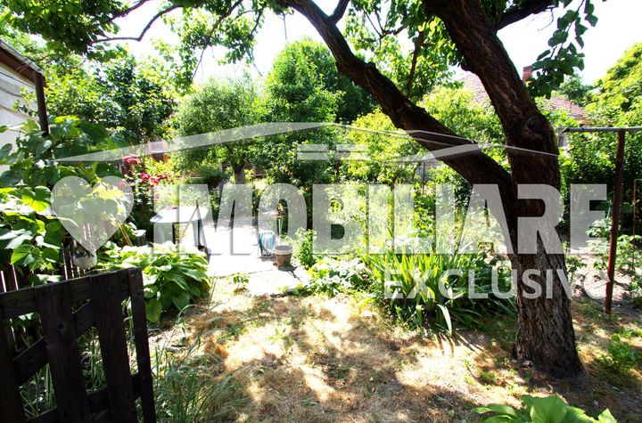 Casa 4 camere - Printul Turcesc, Timisoara anunturi imobiliare Timis