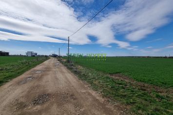 Teren 10.000 mp de vânzare – Balotești – PUZ locuințe anunturi imobiliare Bucuresti