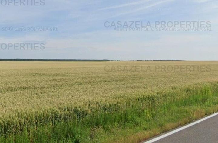 Teren 55.400 mp Vasilati Tarla 140 Parcela 17 anunturi imobiliare Calarasi