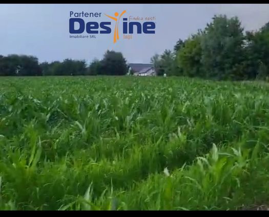 Teren Botosani, 10000 mp