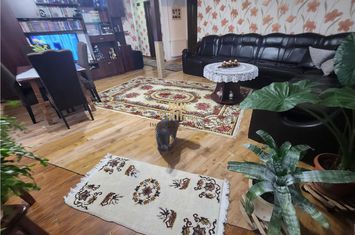 Vilă - 4 camere de vanzare MOARA - Suceava anunturi imobiliare Suceava