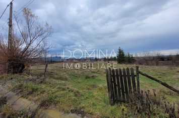 Teren de vanzare NOVACI - Gorj anunturi imobiliare Gorj