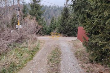 Teren Intravilan de vanzare GHEORGHENI - Harghita anunturi imobiliare Harghita
