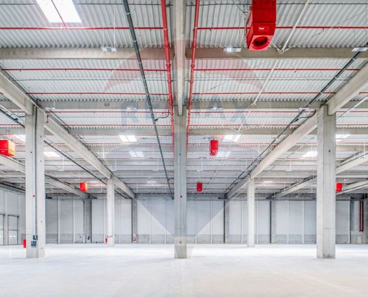 Spațiu industrial Letcani, 15000 mp