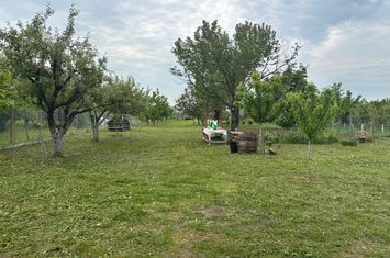 Teren de vanzare ORADEA - Bihor anunturi imobiliare Bihor