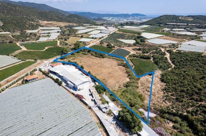 Teren construibil 15.500 mp în Elaiochori anunturi imobiliare Grecia