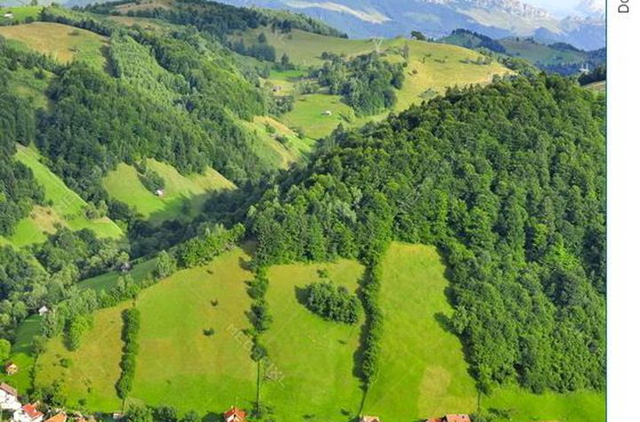 Apartament 18 camere de vanzare MOIECIU - Brasov anunturi imobiliare Brasov