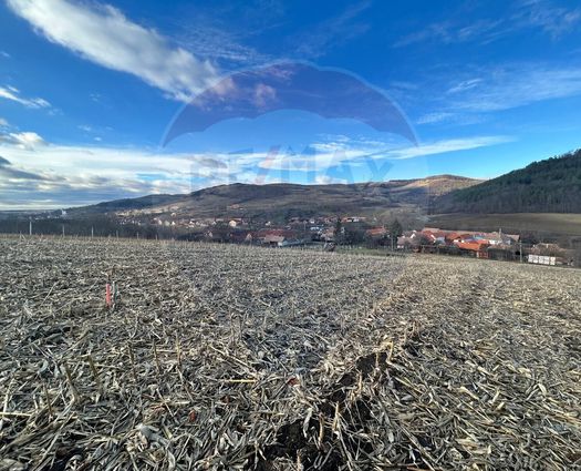 Teren Extravilan Slimnic, 5000 mp