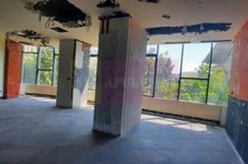 Inchiriere spatiu comercial in zona Decebal-Unirii, stradal, parcare anunturi imobiliare Bucuresti
