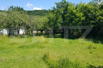 Teren de vanzare MALU CU FLORI - Dambovita anunturi imobiliare Dambovita
