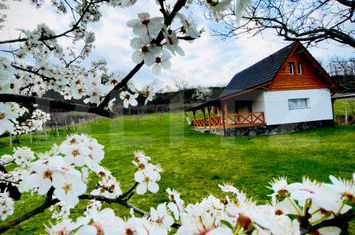 Casă - 2 camere de vanzare BLAJ - Alba anunturi imobiliare Alba