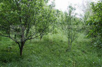 Teren de vanzare TARGOVISTE - Dambovita anunturi imobiliare Dambovita