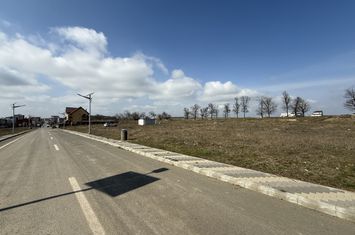 Teren de vanzare TECHIRGHIOL - Constanta anunturi imobiliare Constanta