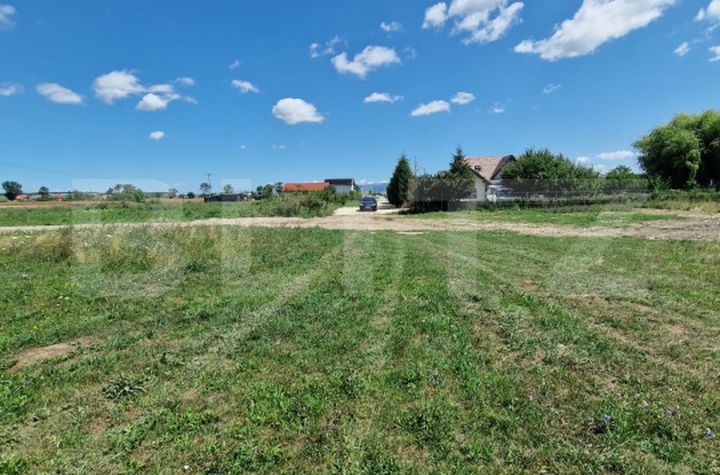 Teren de vanzare HALCHIU - Brasov anunturi imobiliare Brasov