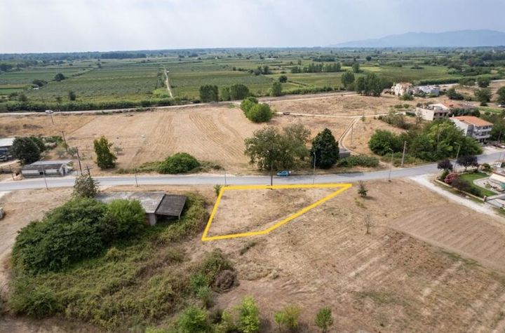 Teren construibil 641 mp în Chrysoupoli anunturi imobiliare Grecia