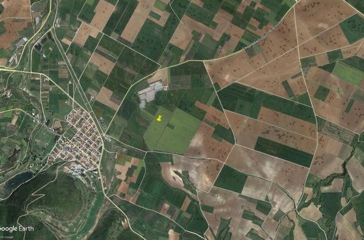 Teren construibil 5400 mp în Choumniko anunturi imobiliare Grecia