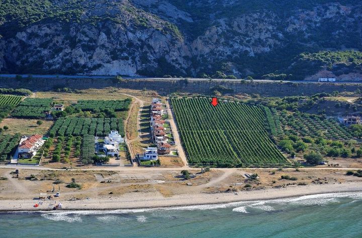 Teren construibil 20.000 mp, primă linie la mare – Kariani anunturi imobiliare Grecia