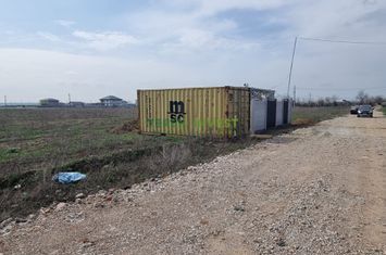 TÂNGANU / CERNICA  - TEREN INDUSTRIAL 5.000 MP anunturi imobiliare Bucuresti
