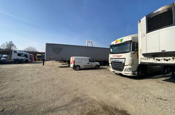Teren 9700mp, Padurea Baneasa, Aleea Teisani anunturi imobiliare Bucuresti