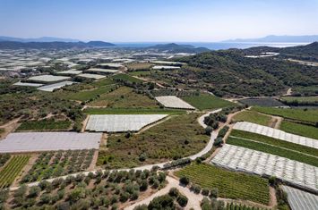 Teren 4373 mp, Paralia Elaiochoriou anunturi imobiliare Grecia