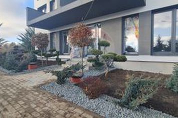 Apartament cu 2 camere + grădină anunturi imobiliare Sibiu