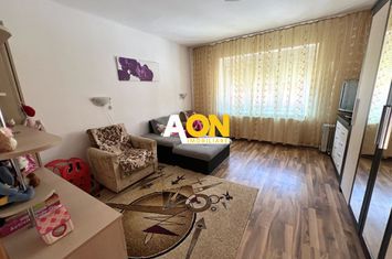 Casa de vanzare pretabila 2 familii, garaj, livada, comuna Pianu anunturi imobiliare Alba