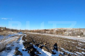 Teren de vanzare FALTICENI - Suceava anunturi imobiliare Suceava