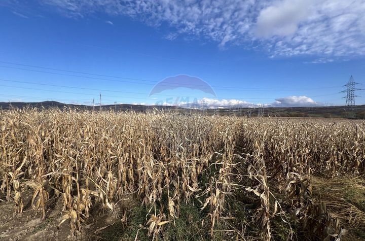 Teren extravilan agricol de vânzare - Selimbar Sibiu anunturi imobiliare Sibiu
