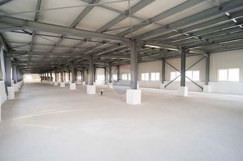 De Închiriat - Spațiu de Birouri / Productie anunturi imobiliare Iasi