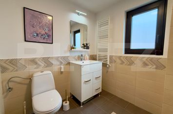 Vilă - 4 camere de vanzare MOSNITA VECHE - Timis anunturi imobiliare Timis