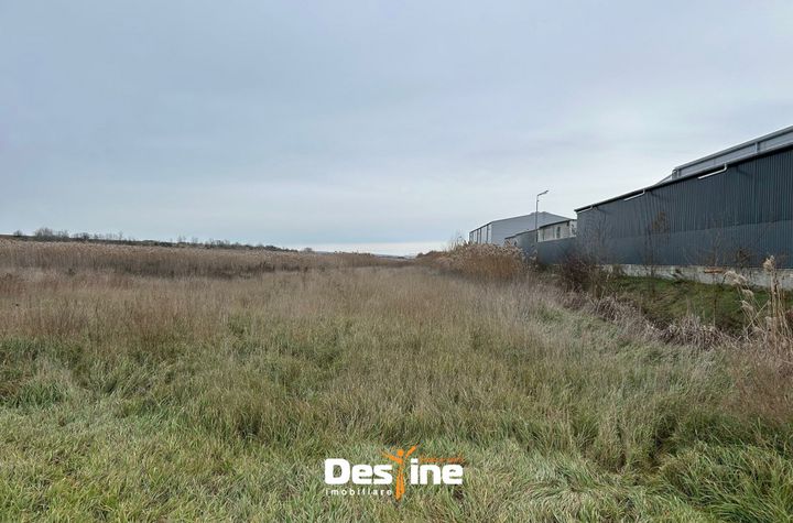 Teren de vanzare TOMESTI - Iasi anunturi imobiliare Iasi