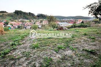 De vanzare 2 case cu 4.900 mp teren, Livezeni 0% comision anunturi imobiliare Mures