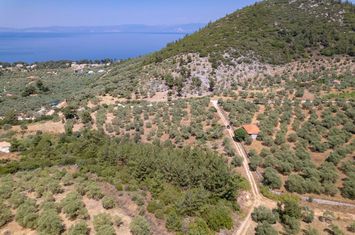 Teren 1800 mp în Skala Rachoniou, Thassos anunturi imobiliare Grecia