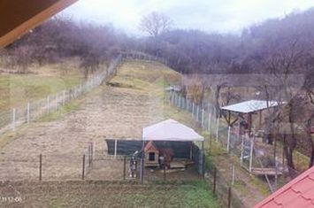 Casă - 2 camere de vanzare SANTANA DE MURES - Mures anunturi imobiliare Mures