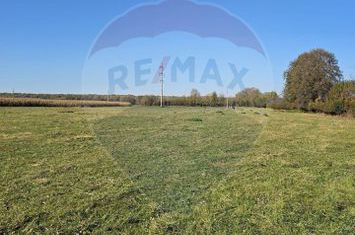 De Vânzare Teren  Arabil 9,368mp Cisnadioara / DJ 106D ,Str. Artarului anunturi imobiliare Sibiu