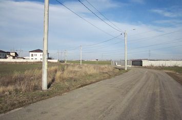 Domnesti-Crengutei-Narciselor anunturi imobiliare Bucuresti