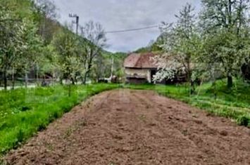 Casă - 3 camere de vanzare ALMASU MARE - Alba anunturi imobiliare Alba